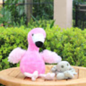 Meet your Posher, Karie